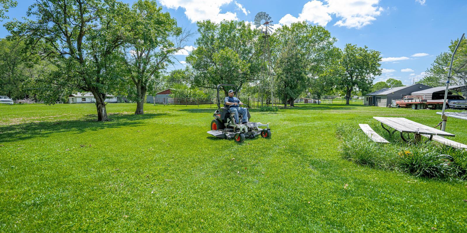 Summer Lawn Care 